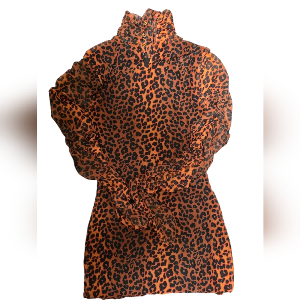 Leopard Print Dress - Picture 2 of 2